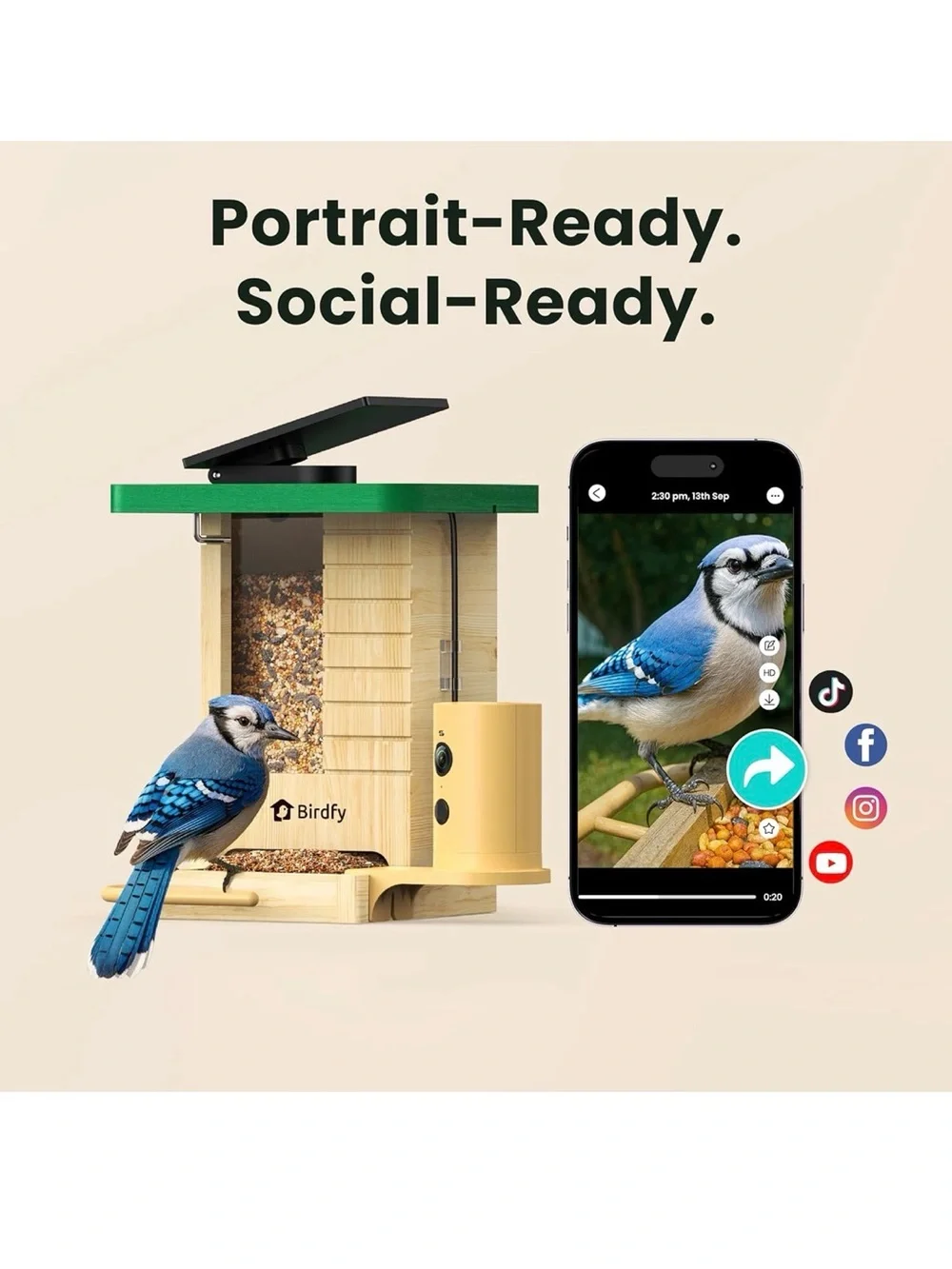 Birdfy Smart Bird Feeder with Camera Solar Powered